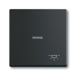 Busch-Jaeger 1789 LI-885 Symbol Licht Wippe