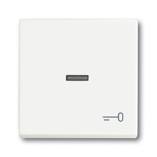 Busch-Jaeger 1789 TR-884 Symbol Schluessel Wippe