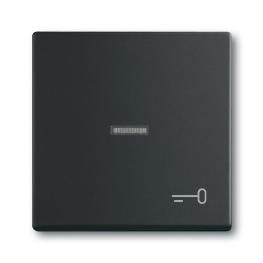 Busch-Jaeger 1789 TR-885 Symbol Schluessel Wippe