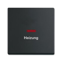 Busch-Jaeger 1789 H-885 Wippe