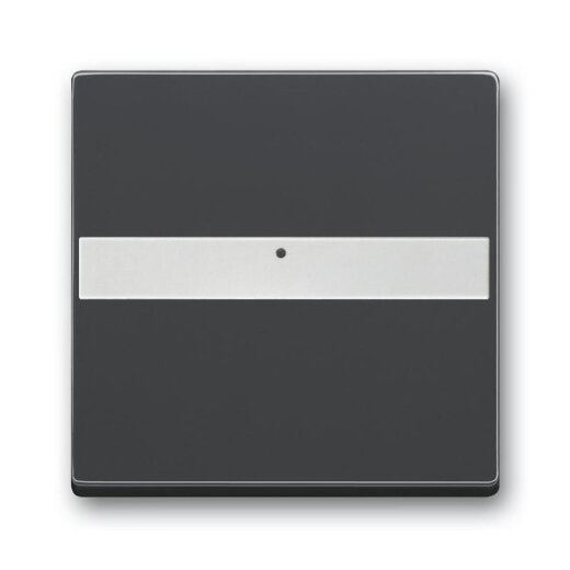 Busch-Jaeger 1764 NLI-885 mit Beschriftungsfeld Wippe