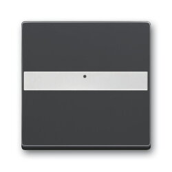 Busch-Jaeger 1764 NLI-885 mit Beschriftungsfeld Wippe