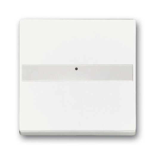 Busch-Jaeger 1764 NLI-884 mit Beschriftungsfeld Wippe