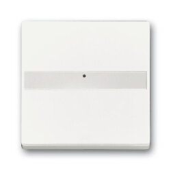 Busch-Jaeger 1764 NLI-884 mit Beschriftungsfeld Wippe