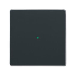 Busch-Jaeger 6230-10-81 1fach Wippe