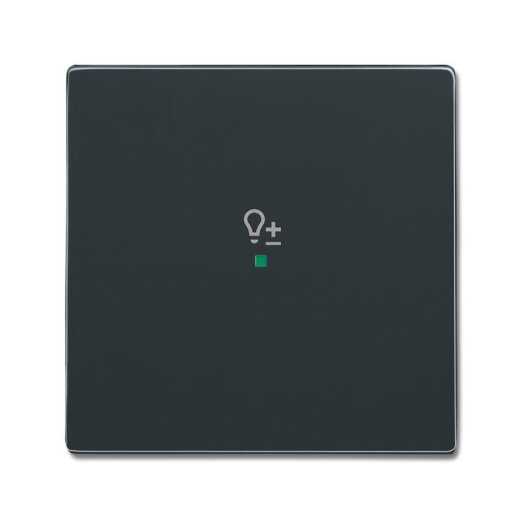 Busch-Jaeger 6234-10-81 1fach Symbol Dimmer Wippe