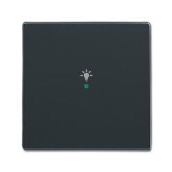 Busch-Jaeger 6231-10-81 1fach Symbol Licht Wippe