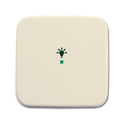 Busch-Jaeger 6231-10-212 1fach Symbol Licht Wippe