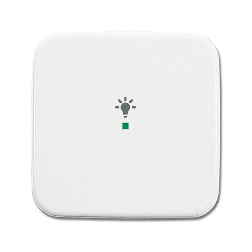 Busch-Jaeger 6231-10-214 1fach Symbol Licht Wippe