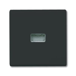 Busch-Jaeger 2107-35 AW44 Wippe