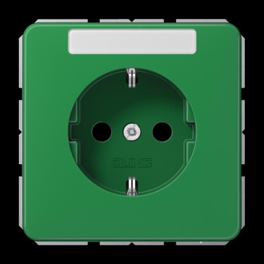 Jung SCHUKO Steckdose, 16 A 250 V ~, mit Schriftfeld, SAFETY+, Thermoplast, Serie CD, grün (für SV) CD1520BFKINAGN
