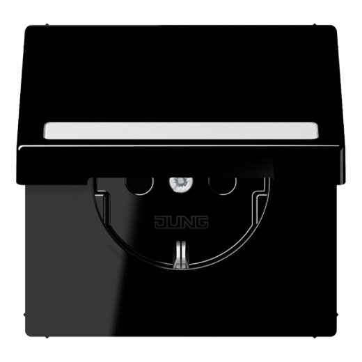 Jung SCHUKO Steckdose, 16 A 250 V ~, mit Schriftfeld, Thermoplast, Serie LS, schwarz LS1520BFNAKLSW