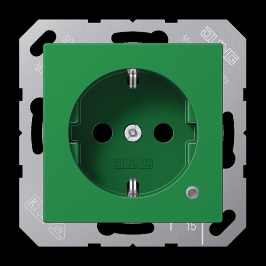 Jung SCHUKO Steckdose, 16 A 250 V ~, mit Funktionsanzeige, SAFETY+, Thermoplast, Serie AS/A, grün (für SV) A1520BFKOGN