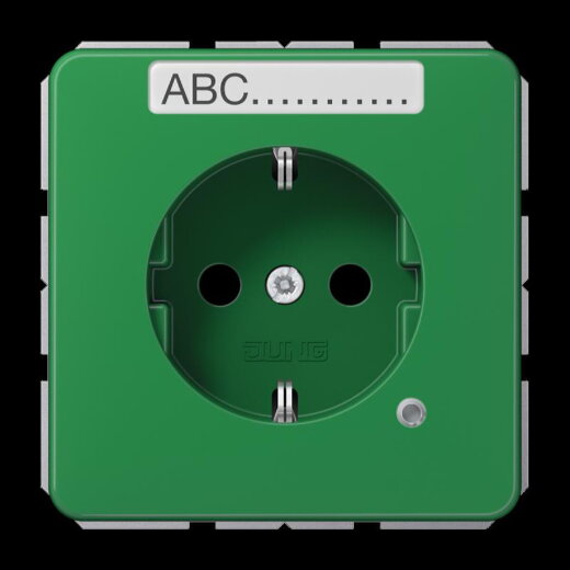 Jung SCHUKO Steckdose, 16 A 250 V ~, ohne Krallen, mit Funktionsanzeige, mit Schriftfeld, SAFETY+, Thermoplast, Ser CD1520BFNAKOGN