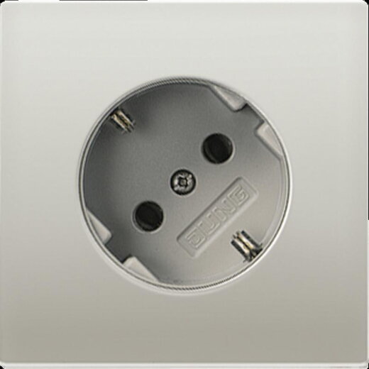 Jung SCHUKO®-Steckdose 45°, 16 A 250 V ~, Serie LS, Edelstahl ES2520-45