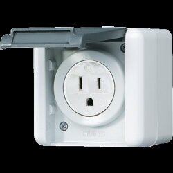 Jung Steckdose, US-Norm NEMA 15 A 125 V ~, WG 800...