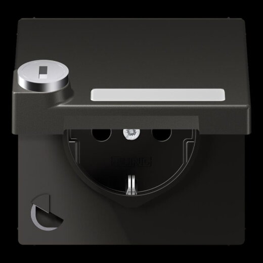 Jung SCHUKO Steckdose, 16 A 250 V ~, mit Schriftfeld, mit Sicherheitsschloss, Thermoplast lac AL1520NAKLSLAN