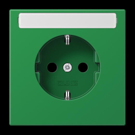 Jung SCHUKO Steckdose, 16 A 250 V ~, mit Schriftfeld, Thermoplast, Serie LS, grün (für SV) LS1520BFNAGN