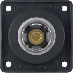 Berker Steckdose M3845712503 12V schwarz matt