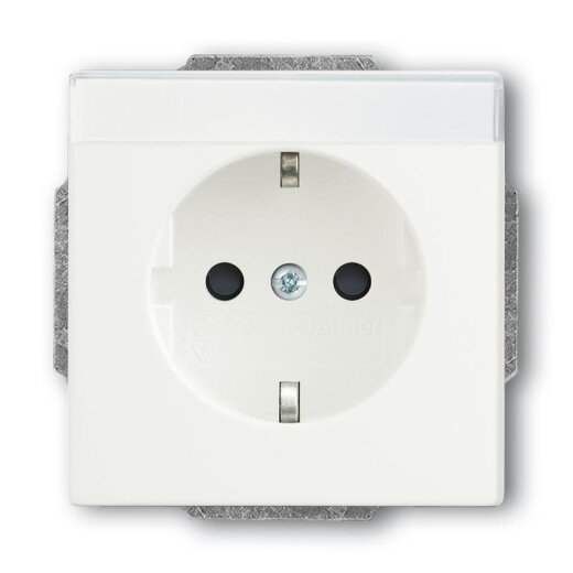 Busch-Jaeger 20 EUN-884 mit Beschriftungsfeld SCHUKO-Steckdose