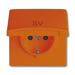 Busch-Jaeger 20 EUGKB-14-101 AW44 Steckdose