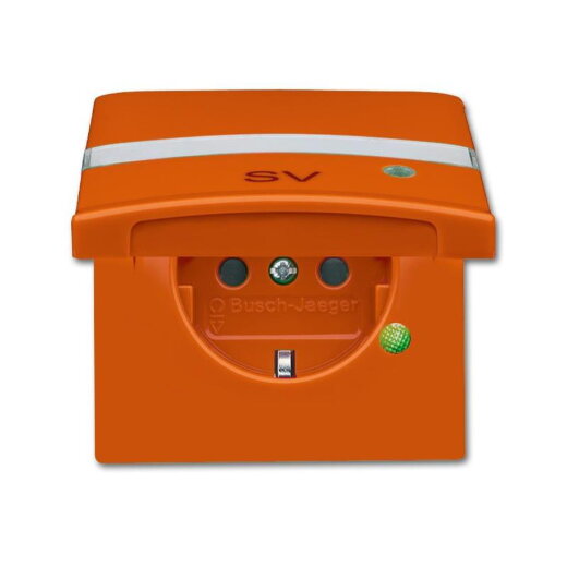 Busch-Jaeger 20 EUGKBLN-14-101 AW44 Steckdose