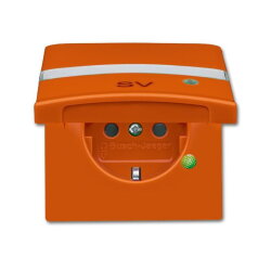 Busch-Jaeger 20 EUGKBLN-14-101 AW44 Steckdose