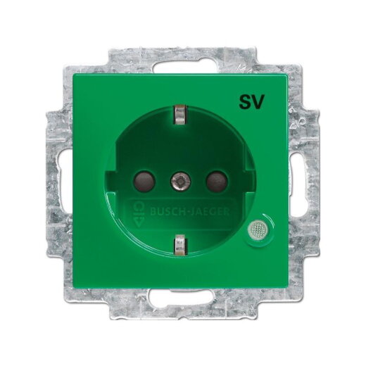 Busch-Jaeger 20 EUCBL-13-914 eBs gruen SCHUKO-Steckdose