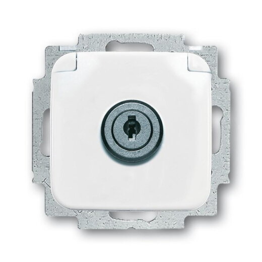 Busch-Jaeger 20 EUKSL-214-101 SI Steckdose