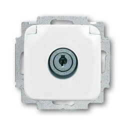 Busch-Jaeger 20 EUKSL-214-101 SI Steckdose