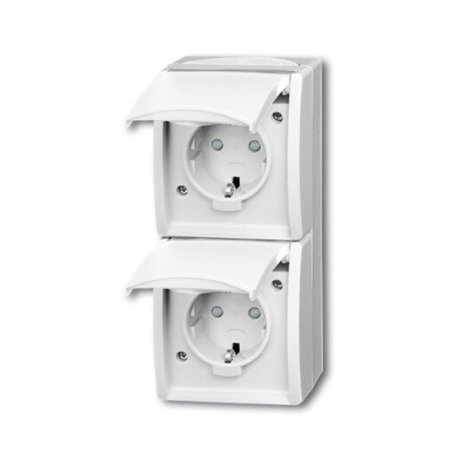 Busch-Jaeger 20-02 EBW-54 2fach senkrecht alpinweiss Steckdose