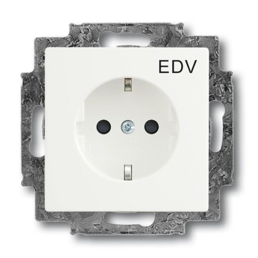 Busch-Jaeger 20 EUCKS/DV-884 EDV SCHUKO-Steckdose