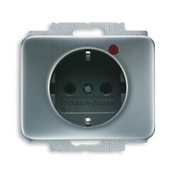 Busch-Jaeger 2310EUGL/VA-266-11 Steckdose