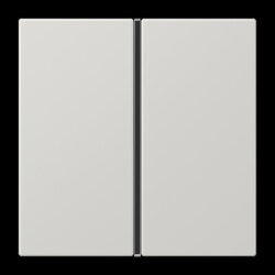 Jung Tastensatz 1fach, F40, Serie LS, lichtgrau LS401TSALG