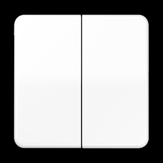 Jung LB-Management Taster 2fach, Duroplast, Serie CD, alpinweiß CD1702WW