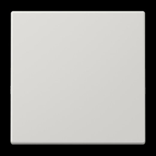 Jung LB-Management Taster 1fach, Duroplast, Serie LS, lichtgrau LS1700LG