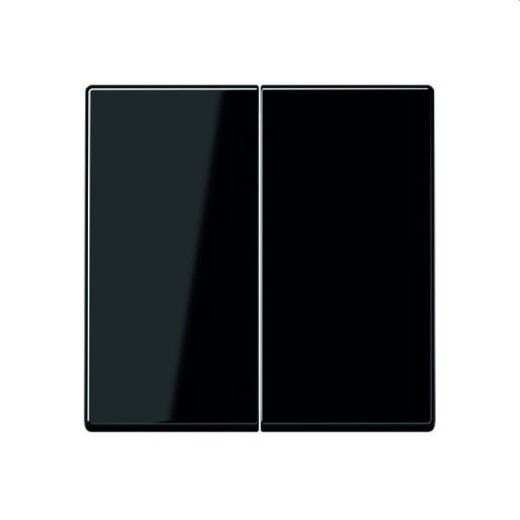 Jung Wippe 2fach, Thermoplast, Serie A, schwarz A595BFSW