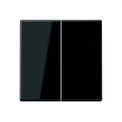 Jung Wippe 2fach, Thermoplast, Serie A, schwarz A595BFSW