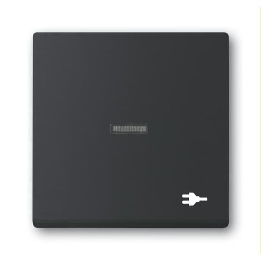 Busch-Jaeger Wippe 1789 ST-885 mit Symbol Stecker, schwarz matt