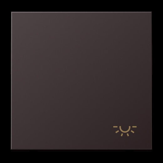 Jung Wippe 1fach, Symbol Licht, Aluminium lackiert, Serie LS, dark (lackiertes Aluminium) AL2990LD