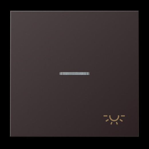 Jung Wippe 1fach mit Lichtleiter, Symbol Licht, Aluminium lackiert, Serie LS, dark (lackiertes Aluminium) AL2990KO5LD