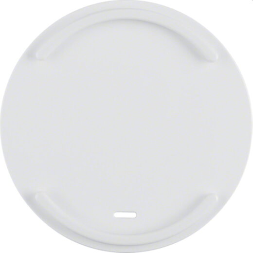 Berker Wippe 16612049 polarweiss glänzend 16612049