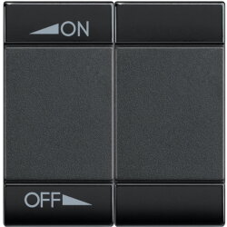 Bticino Wippe L4911M2AIN 2m anthrazit