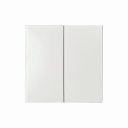 ELSO Wippe 273504 Seriensch./Doppeltaster JOY rw