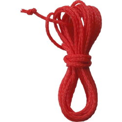 Gira Zugschnur 293500 293500