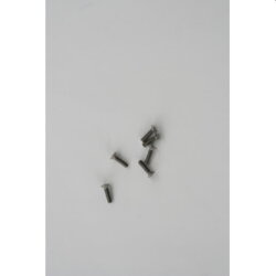 Ritto Schraube Edelstahl (6 St.)