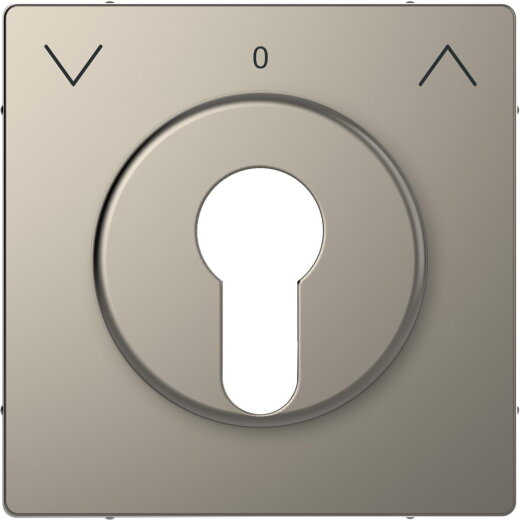 Merten Zentralplatte Nickelmetallic System Design