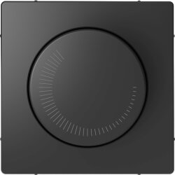 Merten Zentralplatte Anthrazit System Design