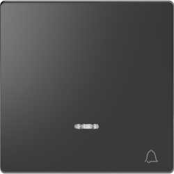 Merten Wippe Anthrazit System Design