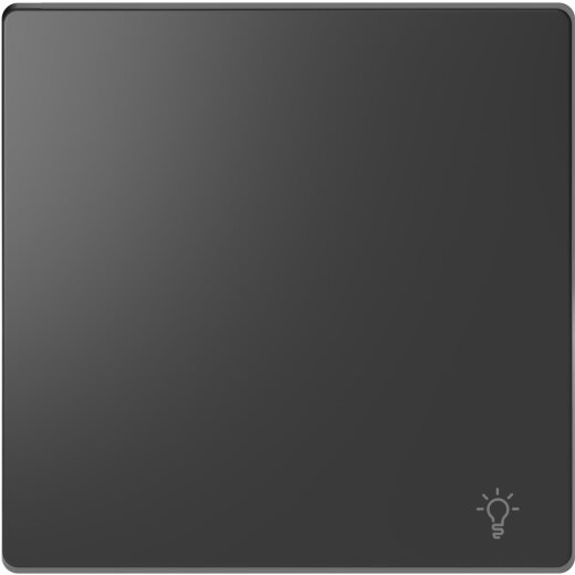 Merten Wippe mit Kennzeichnung Licht anthrazit